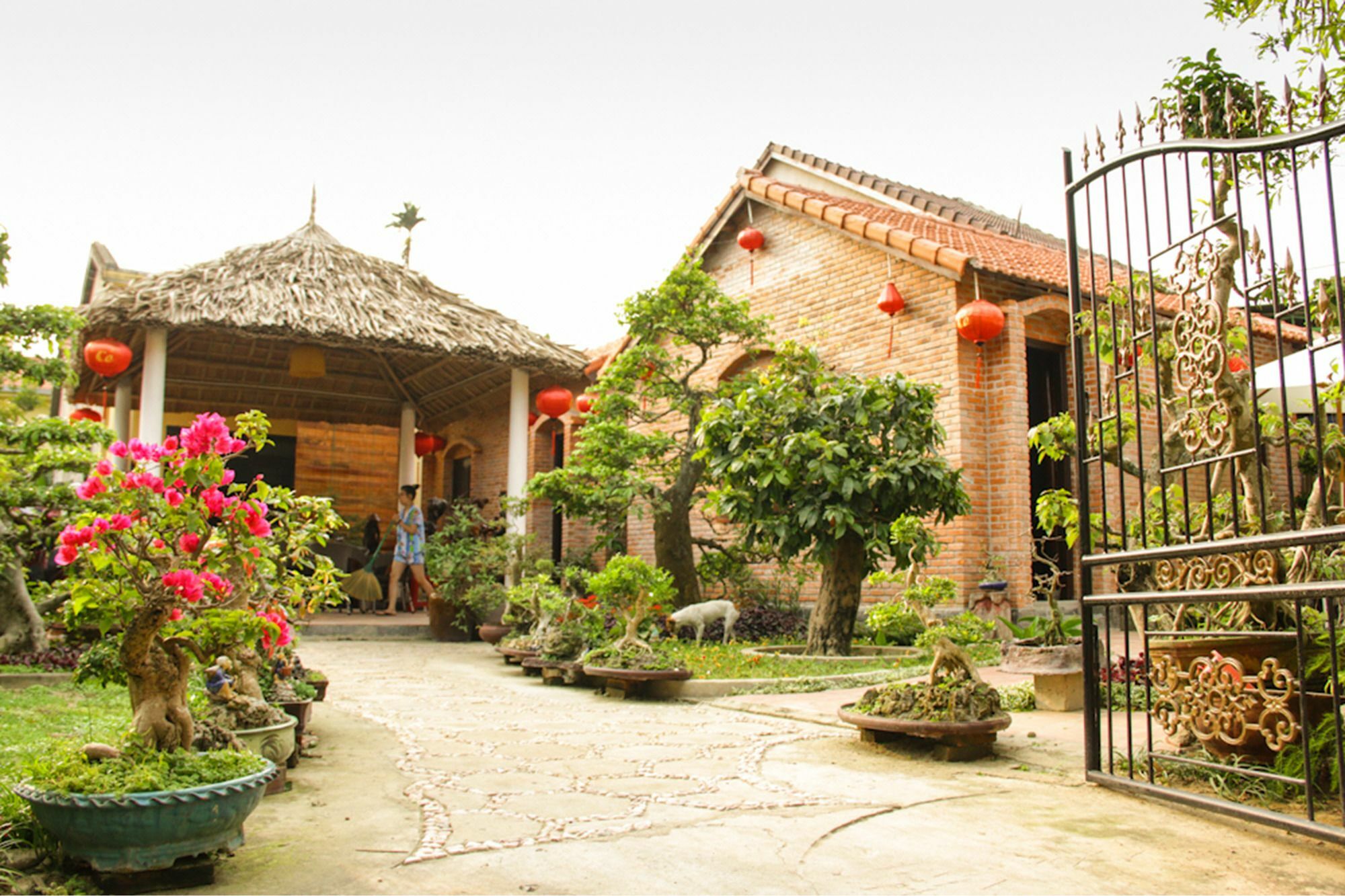 The Grass Vy Apartment Hoi An Exterior photo
